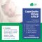 curso-AFALP-Fisura-Oral-Lactancia-Habla